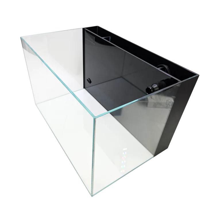 Low Iron Aquarium with Built in Back Filter (10 gallon)