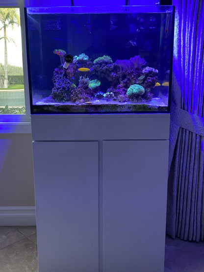 Rimless Flat Panel All-In-One Aquarium (45 Gallon) With Stand